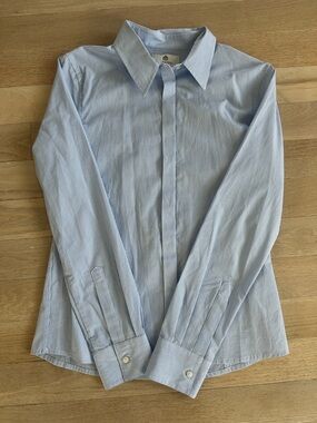 Babaton Light Blue Pinstripe Dress Shirt